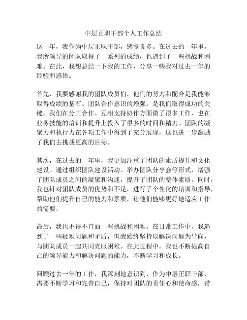 中层正职干部个人工作总结