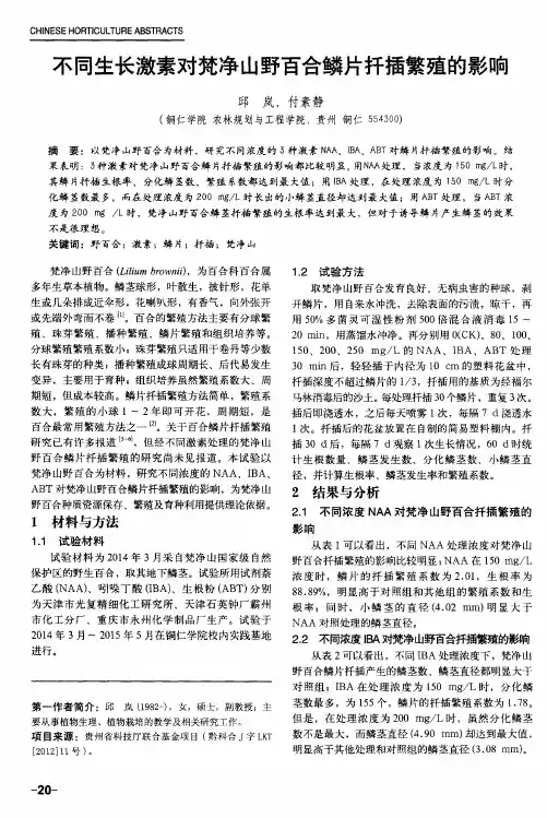 不同生长激素对梵净山野百合鳞片扦插繁殖的影响