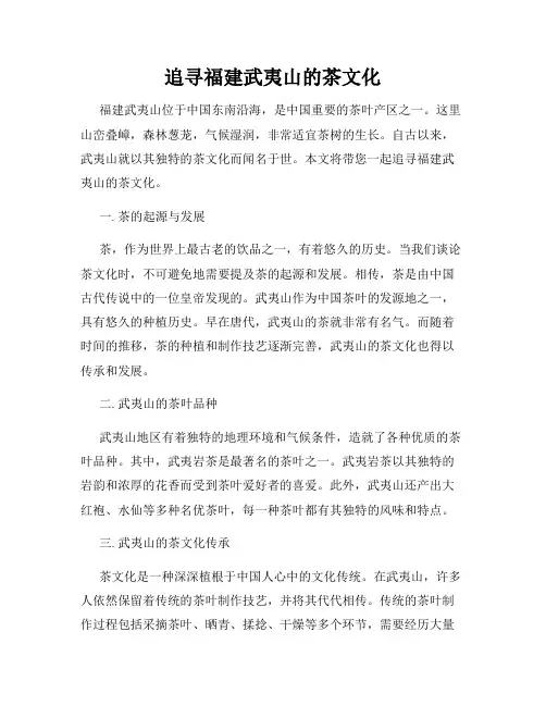 追寻福建武夷山的茶文化