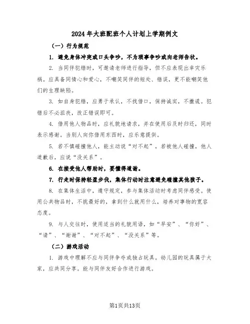 2024年大班配班个人计划上学期例文（五篇）