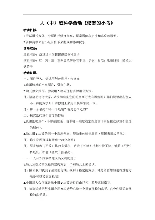大班科学活动《愤怒的小鸟》简案