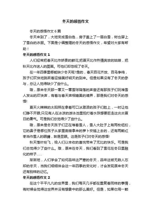 冬天的感悟作文6篇
