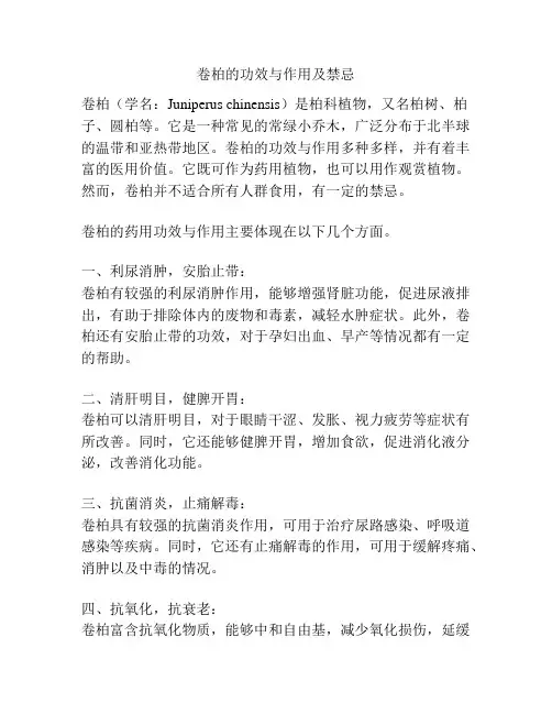 卷柏的功效与作用及禁忌