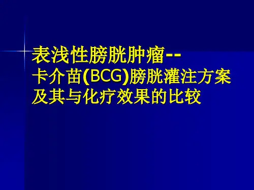 表浅性膀胱肿瘤卡介苗BCG膀胱灌注治疗方案及其与化疗效果的比较课件