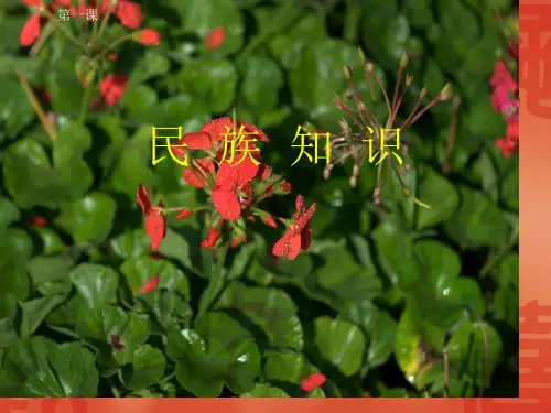 中国各个民族常识