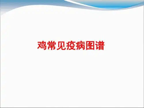 鸡常见疫病图谱