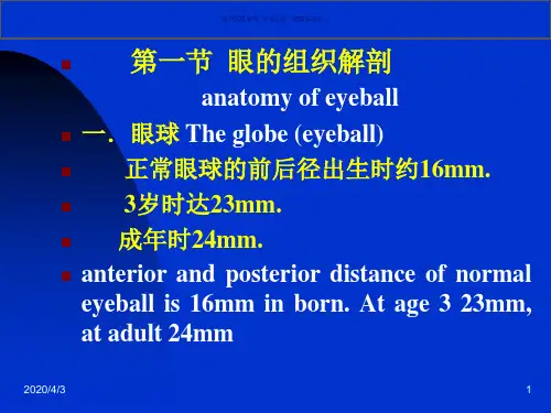 眼科学基础ChapteroneBasicophthalmology