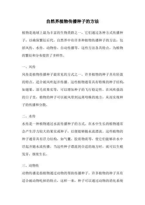 自然界植物传播种子的方法