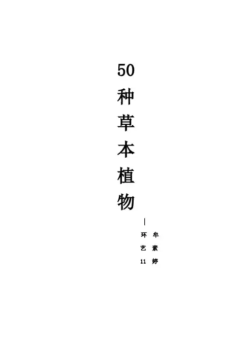 50种草本植物