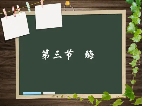 浙科版高中生物必修1  3.3酶