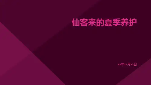 仙客来的夏季养护