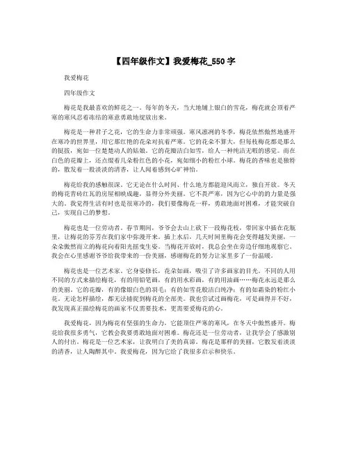 【四年级作文】我爱梅花_550字