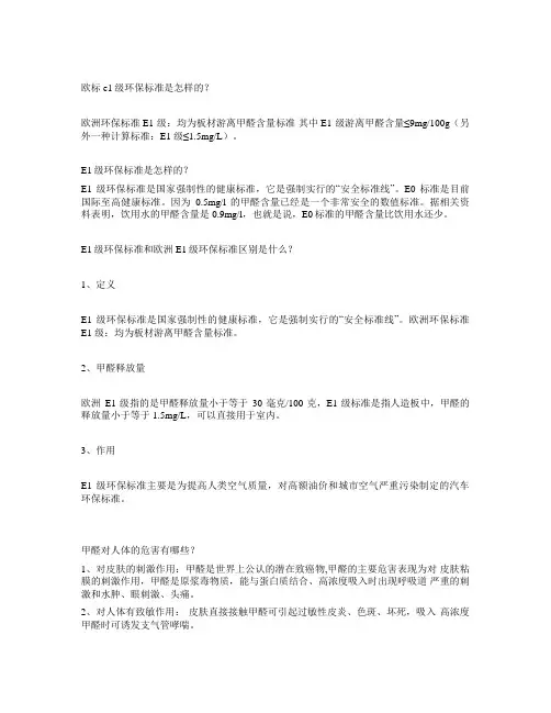 e1安全标准