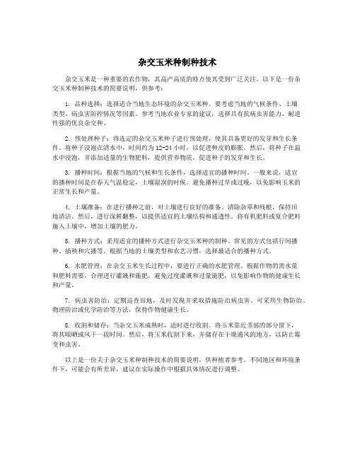 杂交玉米种制种技术