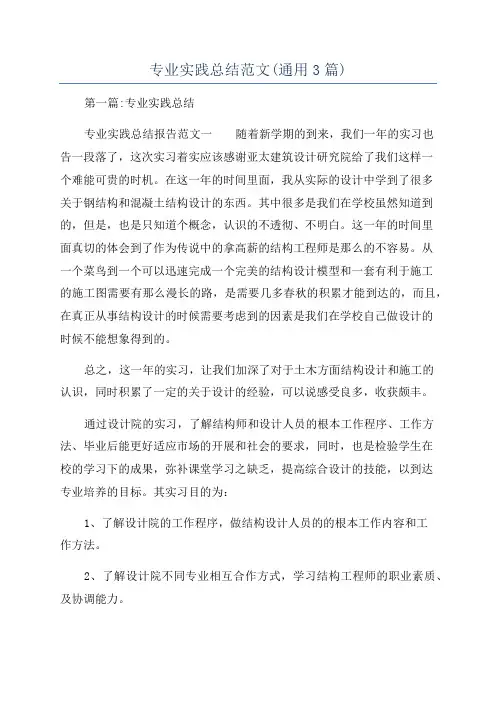 专业实践总结范文(通用3篇)