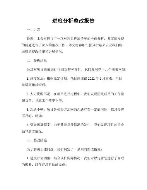 进度分析整改报告