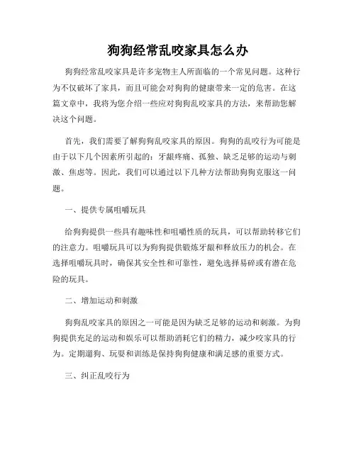 狗狗经常乱咬家具怎么办