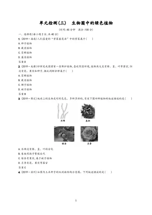 2020年中考生物总复习单元检测三生物圈中的绿色植物(含答案)