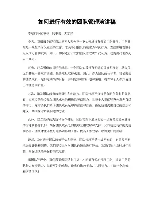 如何进行有效的团队管理演讲稿