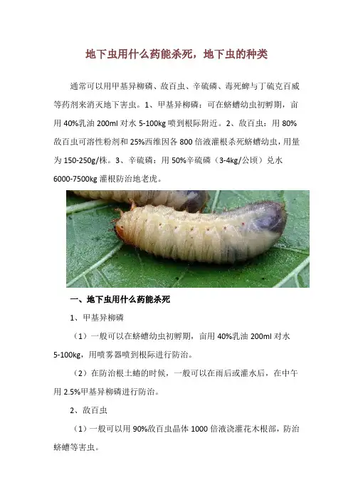 地下虫用什么药能杀死,地下虫的种类