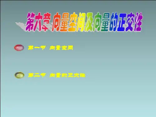 第6章向量空间及向量的正交性资料.
