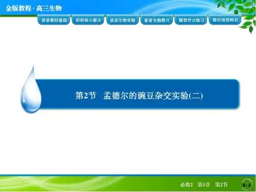 必修2 第1章 第2节