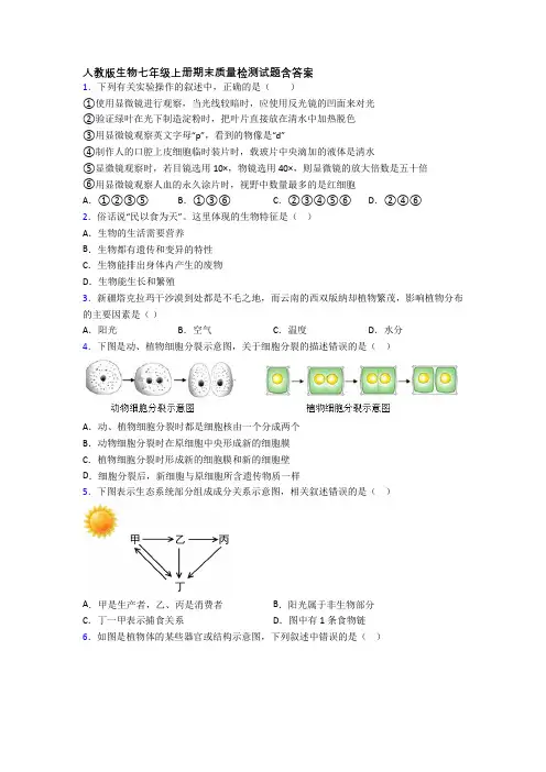 人教版生物七年级上册期末质量检测试题含答案