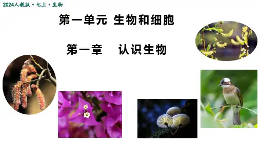 1.1.1++观察周边环境中的生物