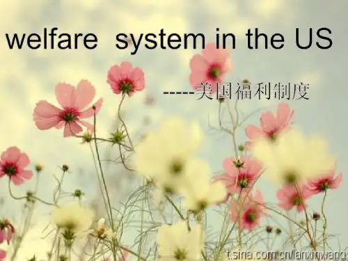 英语ppt美国福利政策