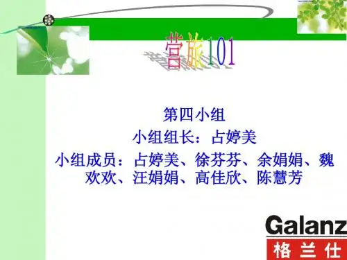 第四小组 格兰仕微波炉策划案