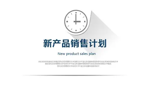 新产品营销方案ppt