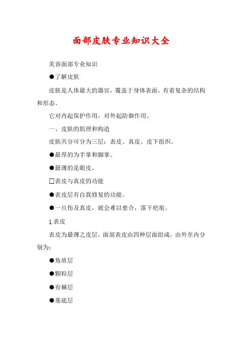 面部皮肤专业知识大全