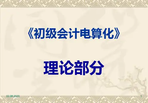 初级会计电算化培训资料(理论部分)(1)PPT课件