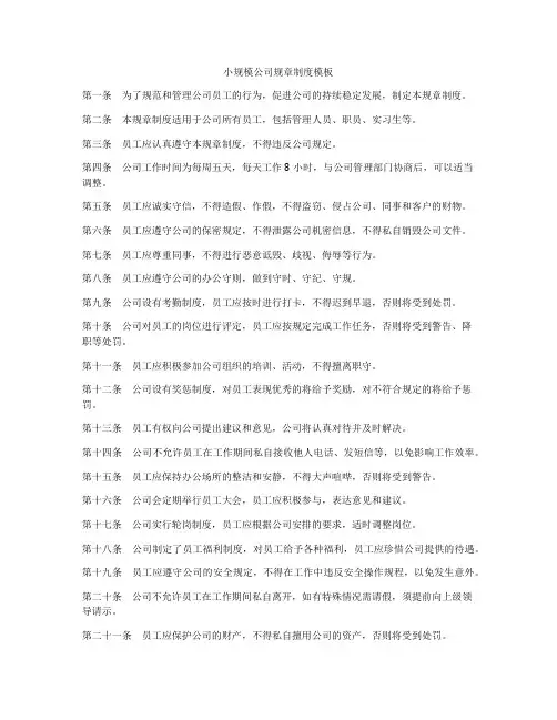 小规模公司规章制度模板
