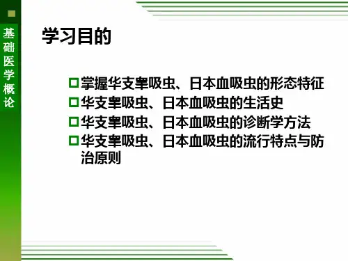 日本血吸虫qq_PPT幻灯片