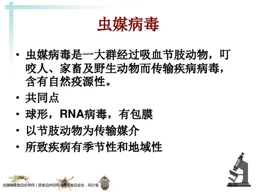 虫媒病毒食品伙伴网(原食品伴侣网)关注食品安全-探讨食