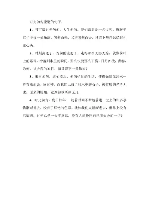 时光匆匆流逝的句子