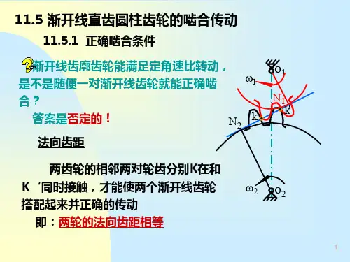齿轮啮合PPT课件