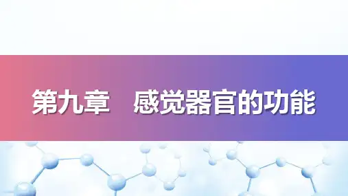 感觉器官—视觉器官(生理学课件)