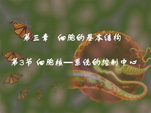 细胞核——系统的控制中心