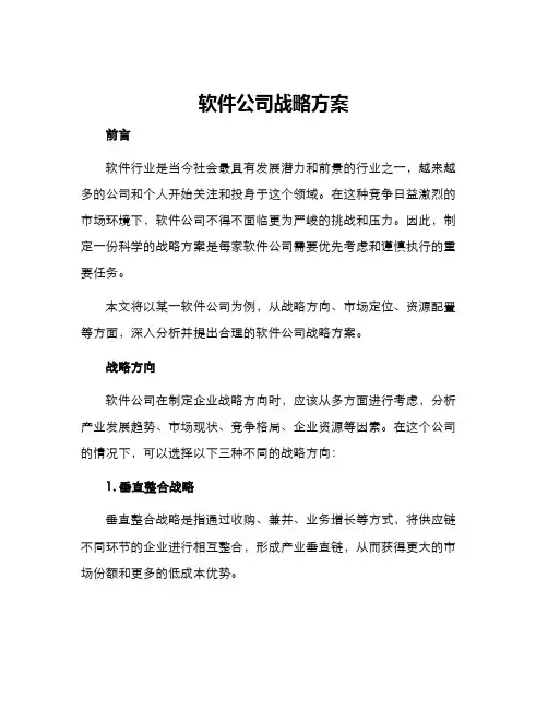 软件公司战略方案