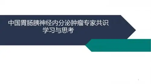 (医学PPT课件)胰腺神经内分泌肿瘤