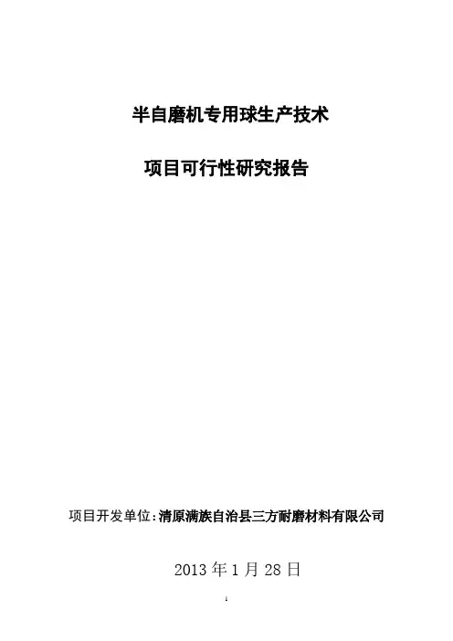 半自磨机专用球生产技术项目可行性研究报告
