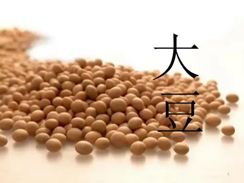 大豆介绍(课堂PPT)