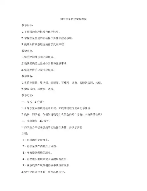 初中镁条燃烧实验教案