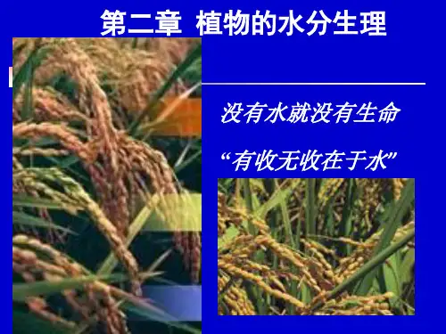 植物生理学：第二章 植物的水分生理