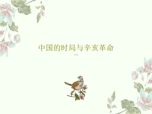 中国的时局与辛亥革命35页PPT