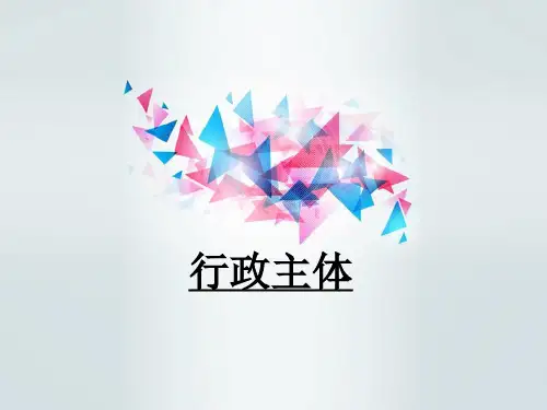 行政主体
