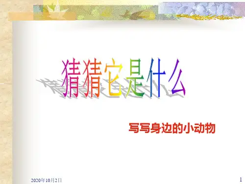 关于描写小动物的PPT课件