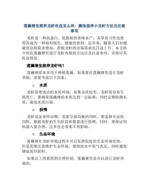 莲藕塘里能养龙虾收益怎么样藕池套养小龙虾方法及注意事项